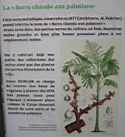 25 - La serre aux Pandanus (1).jpg